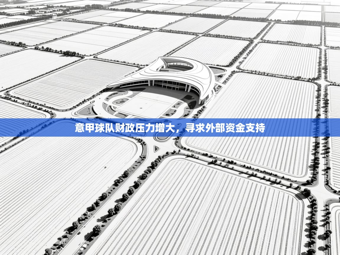 意甲球队财政压力增大，寻求外部资金支持