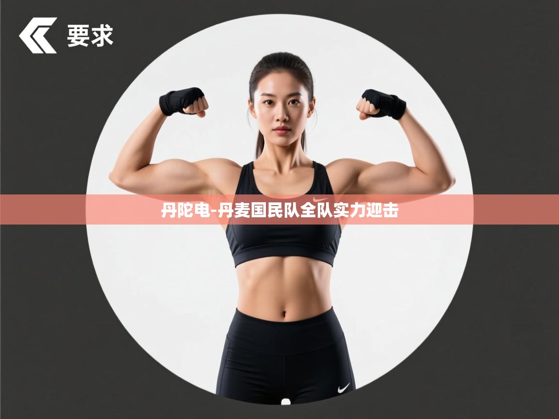 丹陀电-丹麦国民队全队实力迎击