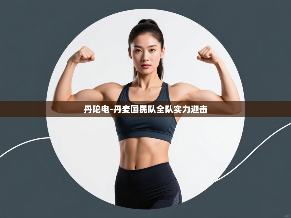 丹陀电-丹麦国民队全队实力迎击  第2张