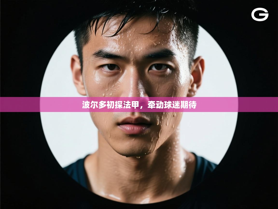 波尔多初探法甲，牵动球迷期待  第2张