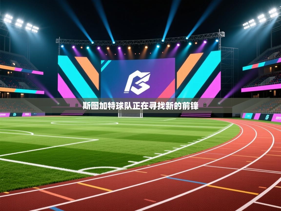 斯图加特球队正在寻找新的前锋  第2张